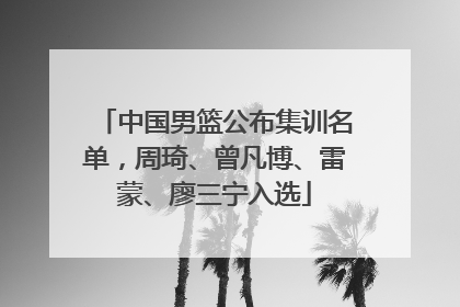 中国男篮公布集训名单，周琦、曾凡博、雷蒙、廖三宁入选