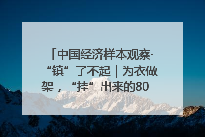 中国经济样本观察·“镇”了不起｜为衣做架，“挂”出来的80亿元“衣架产业”