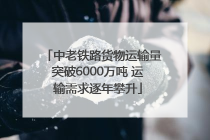 中老铁路货物运输量突破6000万吨 运输需求逐年攀升