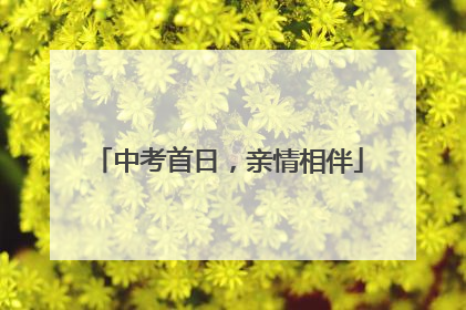 中考首日，亲情相伴