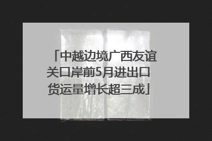 中越边境广西友谊关口岸前5月进出口货运量增长超三成