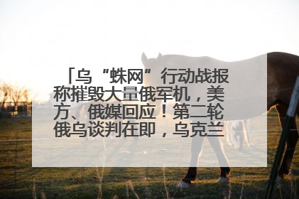 乌“蛛网”行动战报称摧毁大量俄军机，美方、俄媒回应！第二轮俄乌谈判在即，乌克兰提出三大诉求