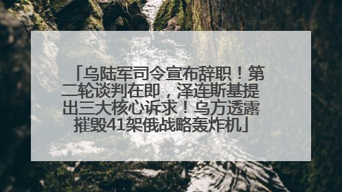 乌陆军司令宣布辞职！第二轮谈判在即，泽连斯基提出三大核心诉求！乌方透露摧毁41架俄战略轰炸机