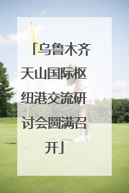 乌鲁木齐天山国际枢纽港交流研讨会圆满召开