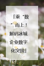 乘“数”而上！解码冰城企业数字化突围