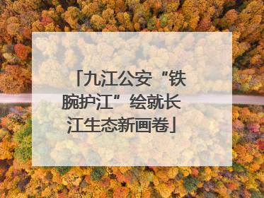 九江公安“铁腕护江”绘就长江生态新画卷