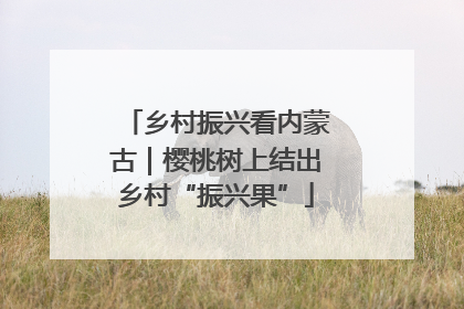 乡村振兴看内蒙古｜樱桃树上结出乡村“振兴果”