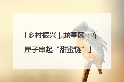 乡村振兴｜龙亭区：车厘子串起“甜蜜链”