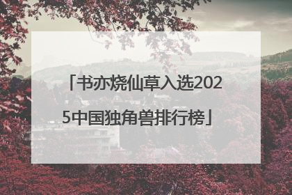 书亦烧仙草入选2025中国独角兽排行榜