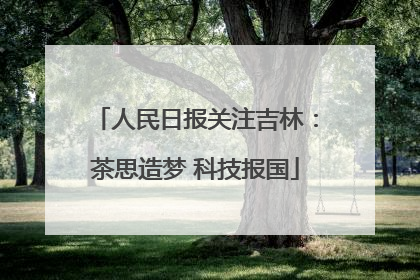 人民日报关注吉林：茶思造梦 科技报国