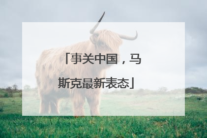 事关中国，马斯克最新表态