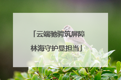 云端驰骋筑屏障 林海守护显担当