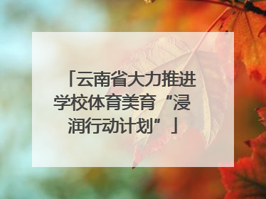 云南省大力推进学校体育美育“浸润行动计划”