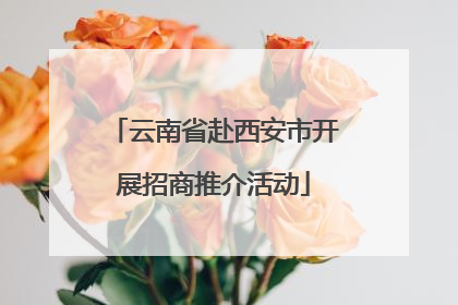 云南省赴西安市开展招商推介活动