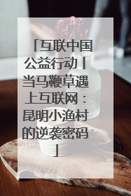 互联中国公益行动丨当马鞭草遇上互联网：昆明小渔村的逆袭密码