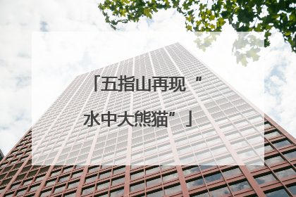 五指山再现“水中大熊猫”