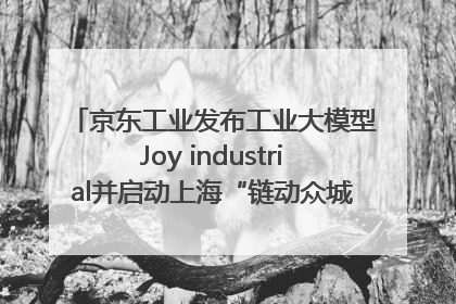 京东工业发布工业大模型Joy industrial并启动上海“链动众城 万亿降本”计划