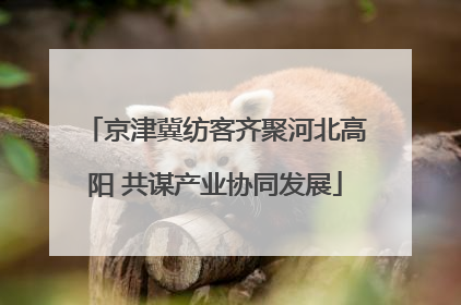 京津冀纺客齐聚河北高阳 共谋产业协同发展