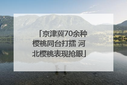 京津冀70余种樱桃同台打擂 河北樱桃表现抢眼