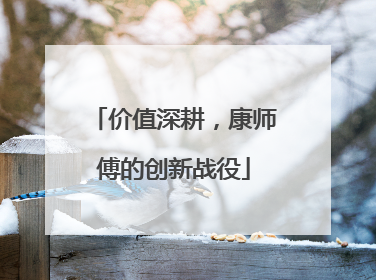 价值深耕，康师傅的创新战役