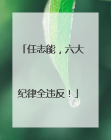 任志能，六大纪律全违反！
