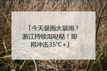 今天暴雨大暴雨！浙江持续湿哒哒！即将冲击35℃+