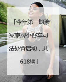 今年第一期涉案京牌小客车司法处置启动，共618辆