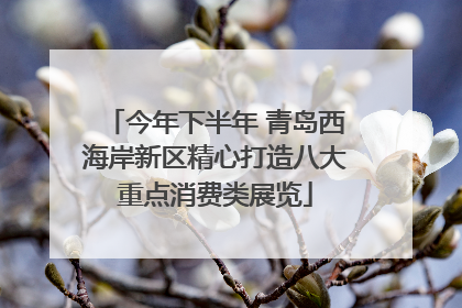 今年下半年 青岛西海岸新区精心打造八大重点消费类展览