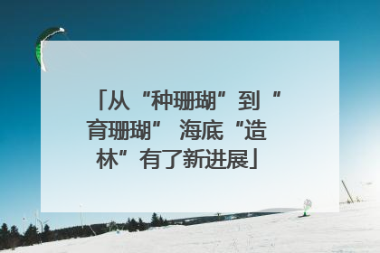 从“种珊瑚”到“育珊瑚” 海底“造林”有了新进展