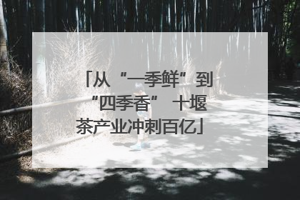 从“一季鲜”到“四季香” 十堰茶产业冲刺百亿