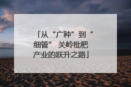 从“广种”到“细管” 关岭枇杷产业的跃升之路