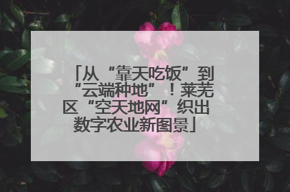 从“靠天吃饭”到“云端种地”！莱芜区“空天地网”织出数字农业新图景