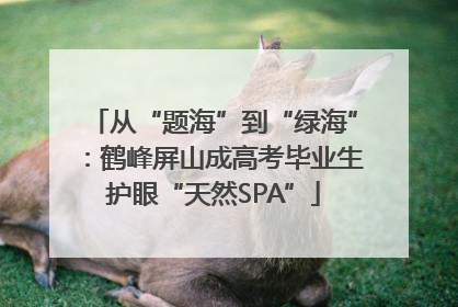 从“题海”到“绿海”：鹤峰屏山成高考毕业生护眼“天然SPA”