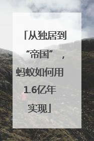 从独居到“帝国”，蚂蚁如何用1.6亿年实现