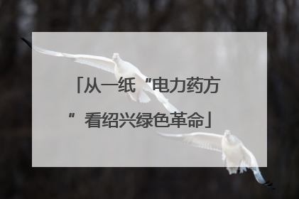 从一纸“电力药方”看绍兴绿色革命