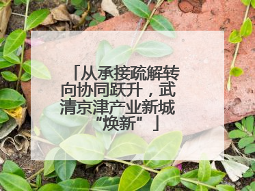 从承接疏解转向协同跃升，武清京津产业新城“焕新”