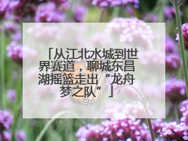 从江北水城到世界赛道，聊城东昌湖摇篮走出“龙舟梦之队”