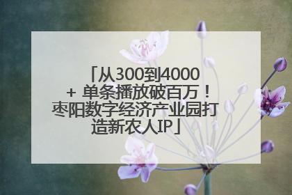 从300到4000+ 单条播放破百万！枣阳数字经济产业园打造新农人IP