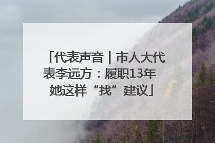 代表声音｜市人大代表李远方：履职13年 她这样“找”建议