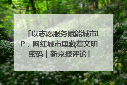 以志愿服务赋能城市IP，网红城市里藏着文明密码｜新京报评论