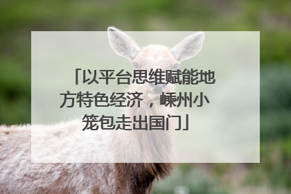 以平台思维赋能地方特色经济，嵊州小笼包走出国门