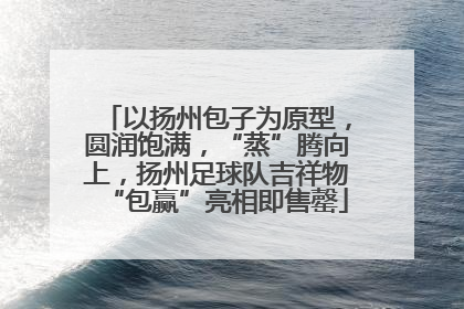 以扬州包子为原型，圆润饱满，“蒸”腾向上，扬州足球队吉祥物“包赢”亮相即售罄