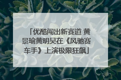 优酷闯出新赛道 黄景瑜黄明昊在《风驰赛车手》上演极限狂飙