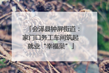 会泽县钟屏街道：家门口务工车间筑起就业“幸福巢”