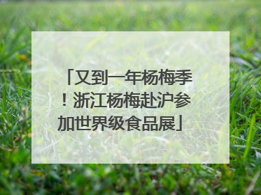 又到一年杨梅季！浙江杨梅赴沪参加世界级食品展