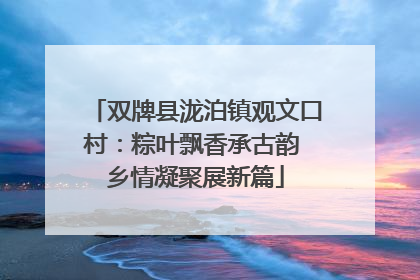 双牌县泷泊镇观文口村：粽叶飘香承古韵 乡情凝聚展新篇
