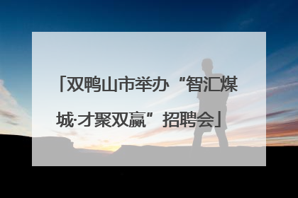 双鸭山市举办“智汇煤城·才聚双赢”招聘会
