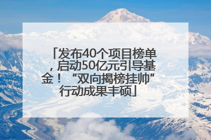 发布40个项目榜单，启动50亿元引导基金！“双向揭榜挂帅”行动成果丰硕
