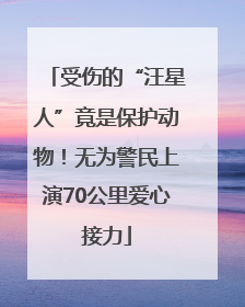 受伤的“汪星人”竟是保护动物！无为警民上演70公里爱心接力