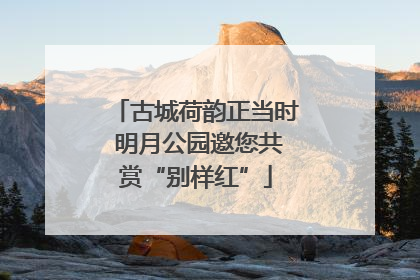 古城荷韵正当时 明月公园邀您共赏“别样红”
